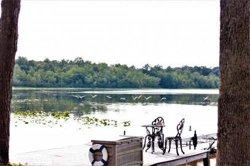 Peaceful lake setting